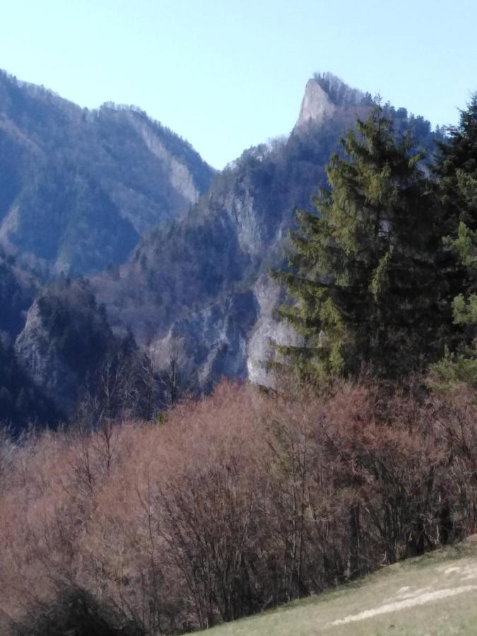Chata Holica Pieniny Lesnica Exterior foto