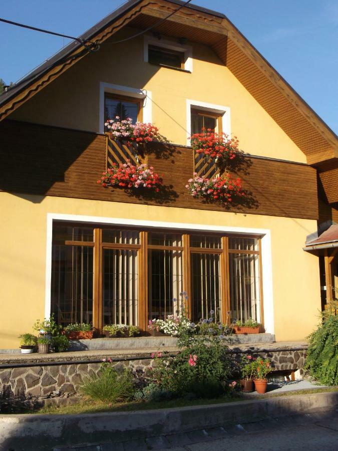 Chata Holica Pieniny Lesnica Exterior foto