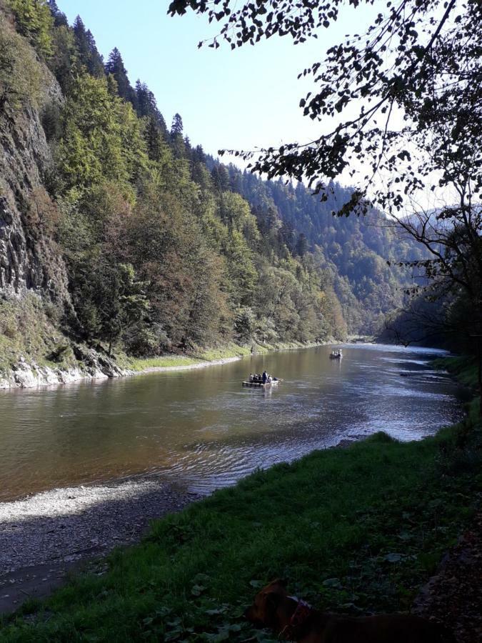 Chata Holica Pieniny Lesnica Exterior foto